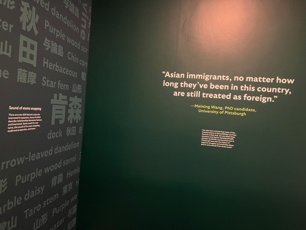 Corner where two dark-green walls meet, with English and Japanese characters on the left and large quotation in white font on the right.