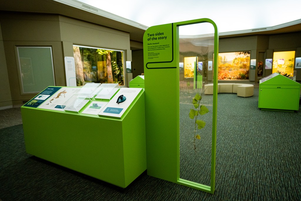 Large, bright-green panel with plant suspended in transparent glass next to lower, tilted, double-sided structure with exhibition panels with graphics, images, and specimens on it.