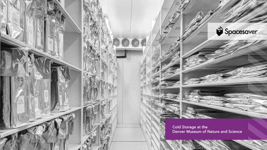 Looking down an aisle in cold storage at the Denver Museum of Nature and Science with mobile storage shelves on either side.