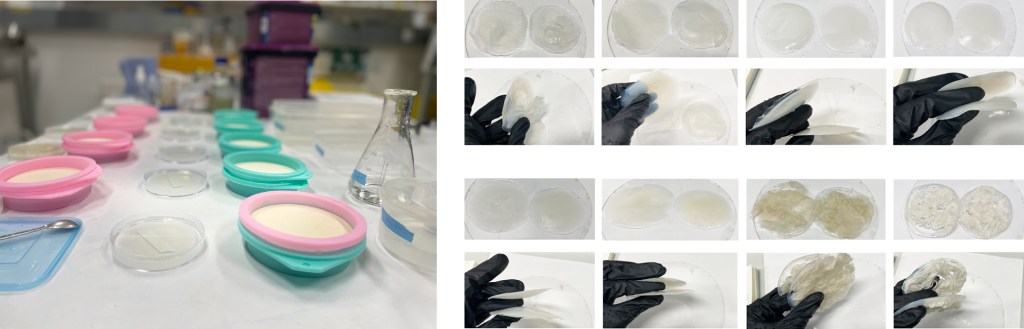 A series of photos depicting the laboratory preparation process of the hydrogel material.