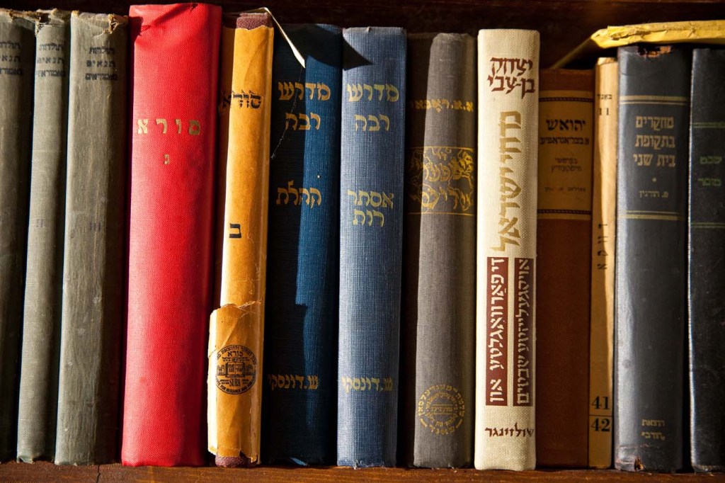 Row of colorful books on a shelf.
