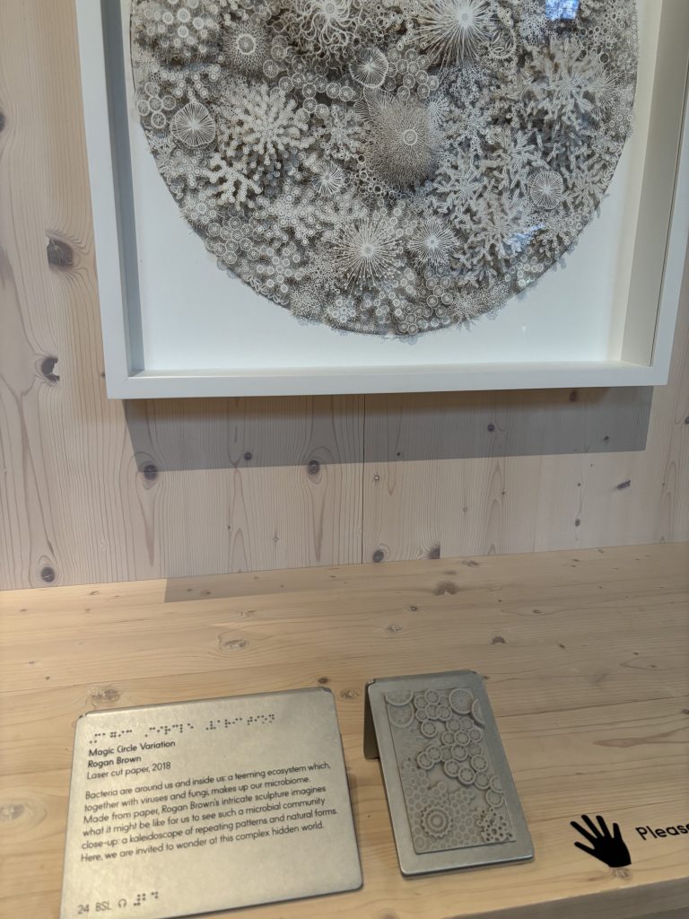 A framed artwork with dense circular and organic patterns is displayed above a tactile panel and braille label on a wooden surface.