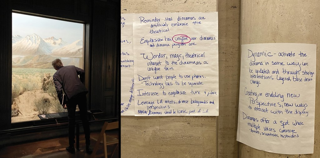 The left picture shows a man looking into a diorama of coyotes. The picture on the right shows several large sheets of paper affixed to the museum’s wall with notes written in marker. The notes read: 
Reminder that dioramas are artificial, embrace the theatrical 
Emphasize how unique our dioramas and diorama program are 
Wonder, magic, theatrical inherent to the dioramas as a unique form 
Don’t want people to use phones 
Technology has to be separate  
Intervene to emphasize time and place 
Leverage L.A. artists, diverse backgrounds, and perspectives 
NHMLA/Dioramas should be iconic part of L.A. 
Dynamic – activate the diorama in some way, can be updated and through strategic interventions. Layered, base doesn’t change 
Creating, or enabling new perspectives, new ways to interact with display 
Dioramas offer a spot where multiple voices converge 
Artists, scientists, historians 