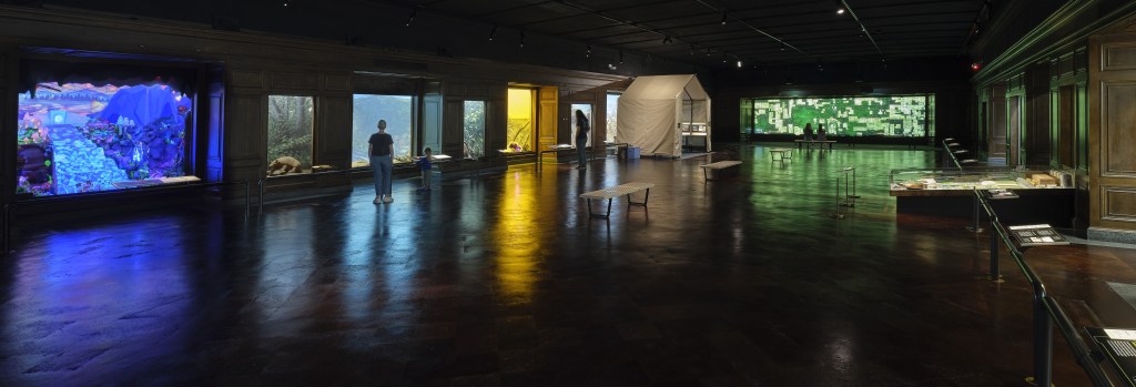 A large, dark, rectangular hall exhibiting many colorful dioramas. 
