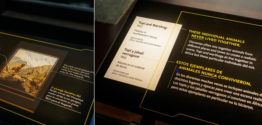  Details of labels showing that annotations are printed on a separate layer above the main text. 
